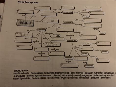 Blood Concept Map Answer Key Biology Corner Img Gimcrackery