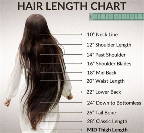 Hair Length Chart Easy Measurement Styles And Care Guide