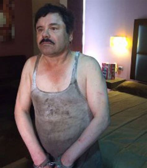 Notorious Drug Kingpin El Chapo Arrested Abc News