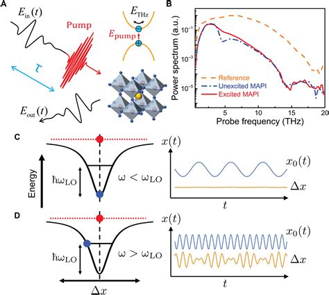 Ultrafast Correlated Charge And Lattice Motion In A Hybrid Metal Halide