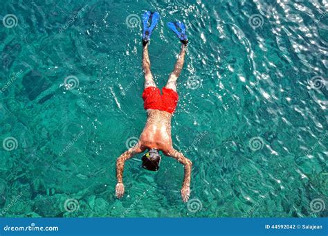 Uomo Che Si Immerge Nel Mare Fotografia Stock Immagine Di