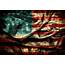 American Flag Patriotic 4th Of July Backdrop For Photography GA 21 