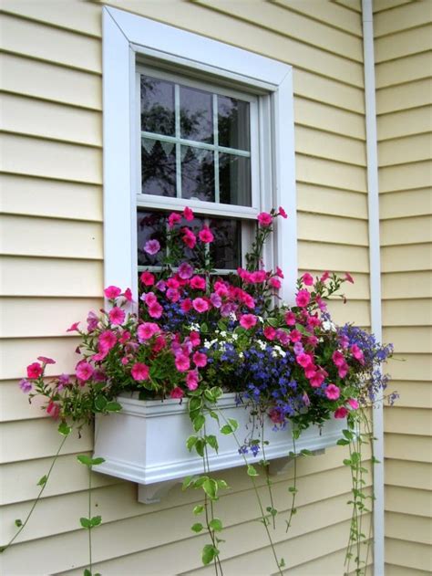 Novelty terra countryside flowerbox 18 inch. The Best Plants For Wonderful Spring Window Boxes