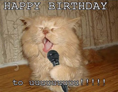 Joke4fun Memes Cat Will Perform A Birthday Song Just For You