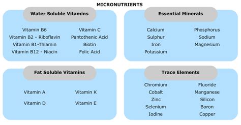 Micronutrients Public Health Notes