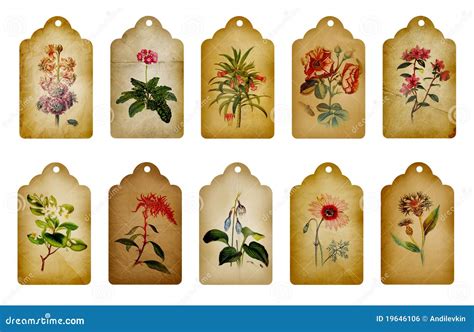 Vintage Flower Labels Royalty Free Stock Image Image 19646106