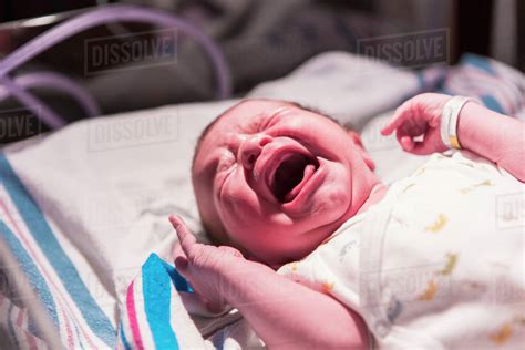 Caucasian Newborn Baby Crying In Hospital Crib Stock Photo Dissolve