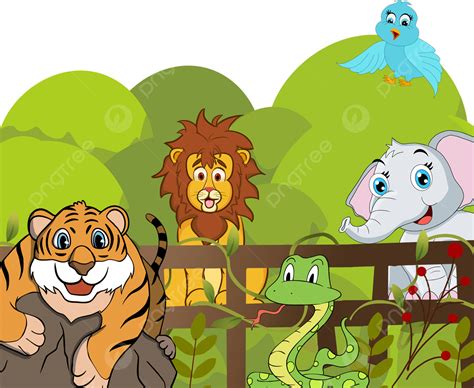 Ilustración De Animal De Zoológico De León Tigre Png Clipart De