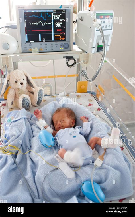 Premature Newborn Baby At A Pediatric Intensive Care Unit Obstetrics