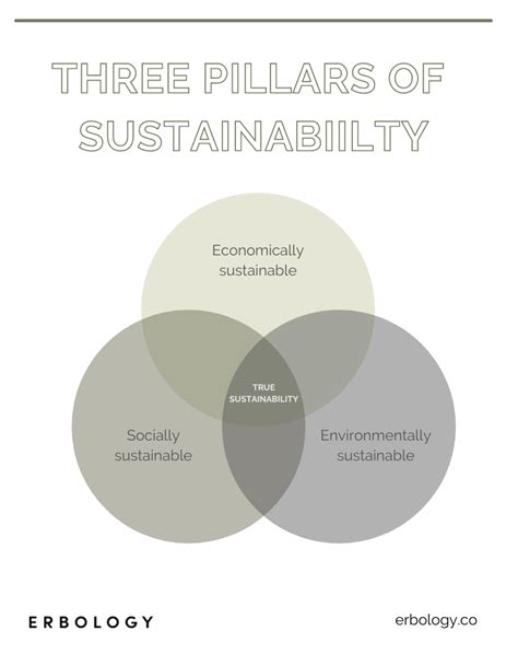 The Three Pillars Of Sustainability Sustainable Living Tips Erbology