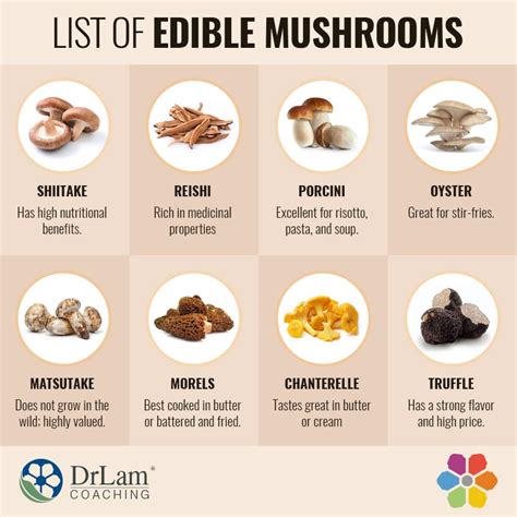 Mushroom Benefits Chart