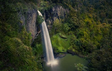 Wallpaper Forest Rock River Waterfall Stream New Zealand New