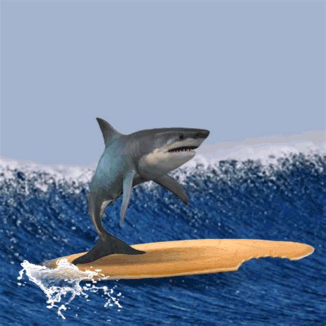 15 Shark Gifs - Gif Abyss