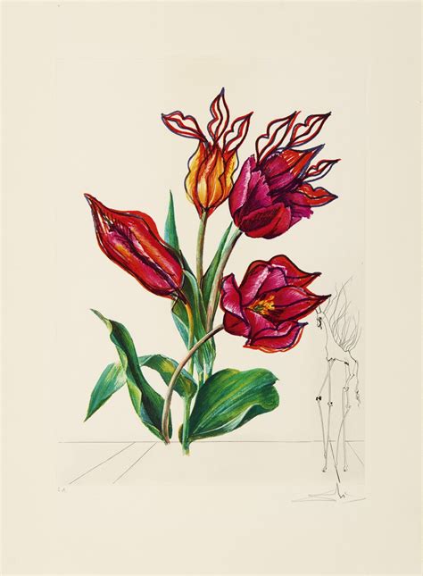 Salvador Dalí Surrealistic Flowers Or Florals 1982 Invertir En Arte