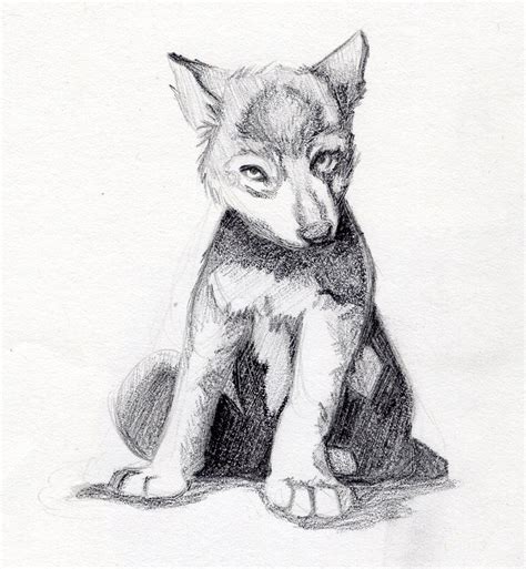Masha and the bear animation, masha, brown bear illustration, mammal, child png. Wolf cub by alicecross1229 on DeviantArt