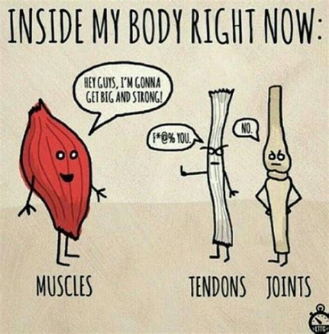 Fitness Memes Humour Fitness Gym Humour Fitness Workouts Funny