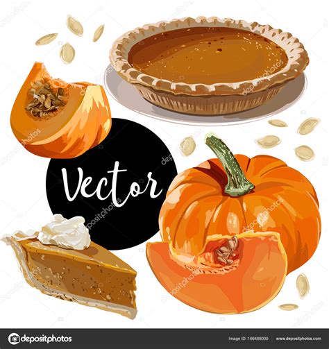Vector Pumpkin Pie Illustration — Stock Vector © Maryswell 166488000
