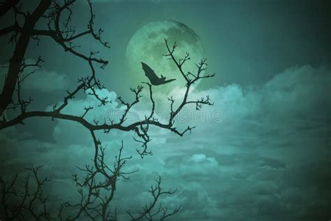 Halloween Concept Spooky Forest With Full Moon And Dead Trees Dark