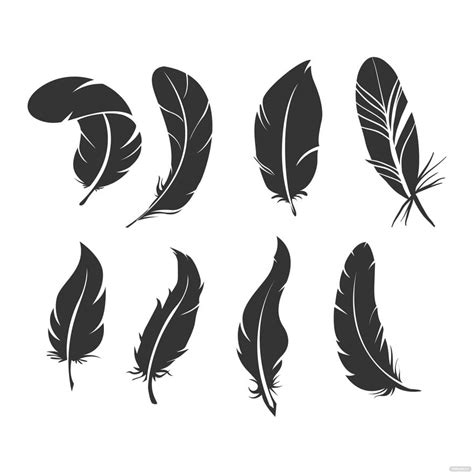 Bird Feather Vector In Illustrator  Svg Eps Png Download