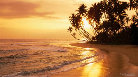 Tropical Sunset Sri Lanka Hawaiian Sunset Sunrise Sunset Free