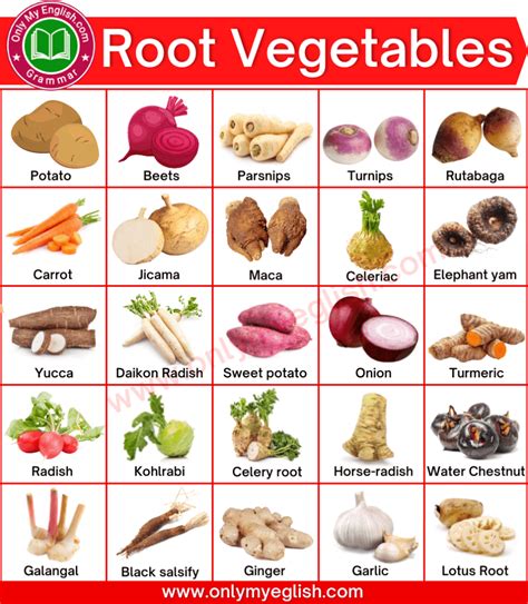 List Of Root Vegetables Name With Pictures