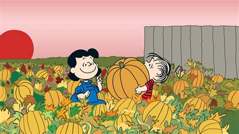 Its The Great Pumpkin Charlie Brown Twin Cities Pbs