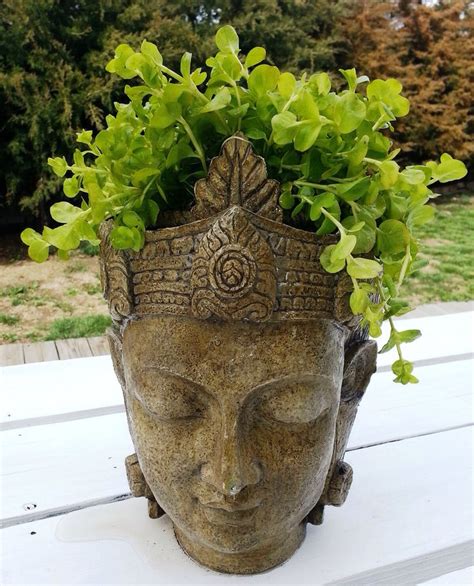 554 Best Images About Head Planters On Pinterest Gardens Ceramics And Medusa Head