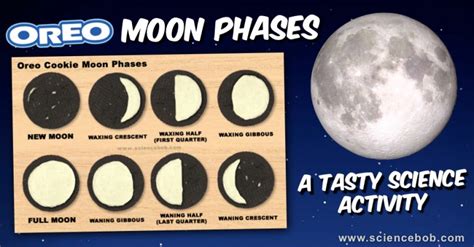 Oreo Cookie Moon Phases