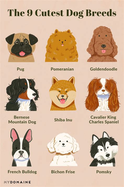 Meet 15 Of The Cutest Dog Breeds In The World Cute Dogs Breeds Dog
