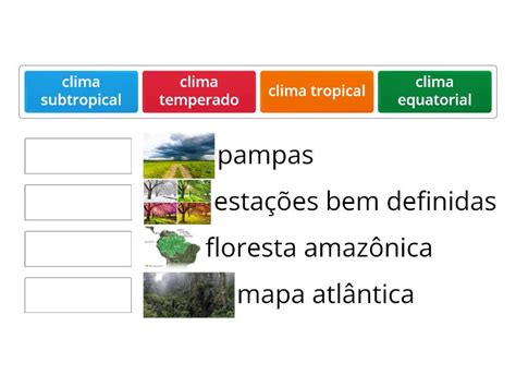 jogo climas equatorial tropical subtropical e temperado Combinação