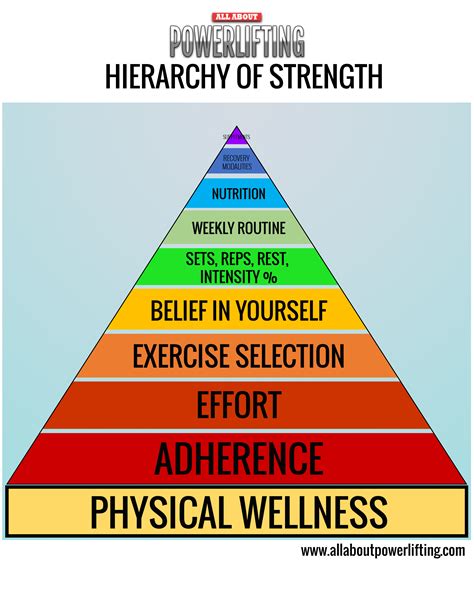 The Hierarchy of Strength - All About powerlifting