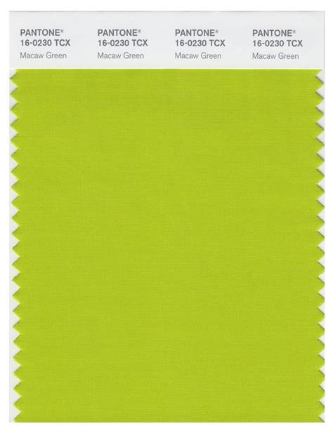 Pantone Smart 16 0230 Tcx Color Swatch Card Macaw Green Magazine