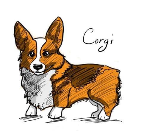 Corgi Art Funny Baby  Funny Babies Cute Animal Drawings Cartoon