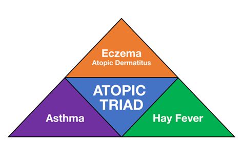 What Is The Atopic Triad Are Eczema Asthma And Hay Fever Connected