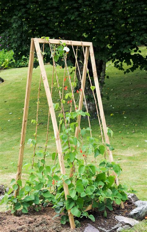 Build Folding A Shaped Bean Frame Instructions Allotment And Gardens