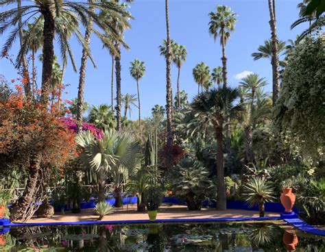 Le Jardin De Majorelle Lun Des Jardins Les Plus Enchanteurs Du Maroc