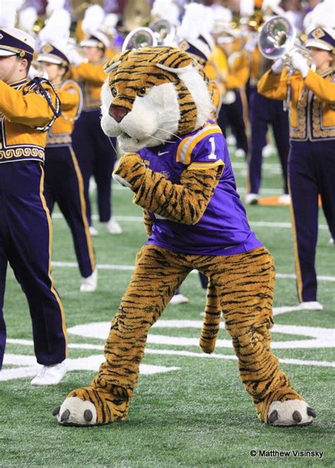 Lsu Mike Mascot Louisiana State Fightin Tigers Mike The Tiger