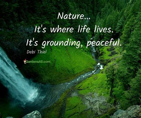 Cool Quotes About Peace And Nature Ideas Pangkalan