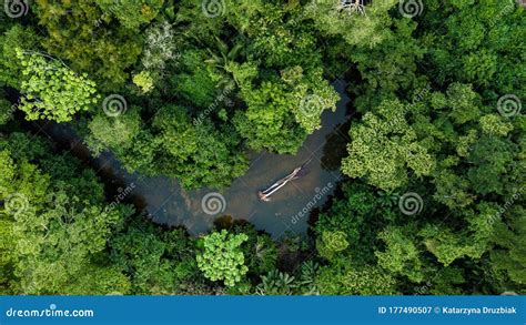 Aerial Photo Of River In Amazon Rainforest Jungle In Peru Stock Image