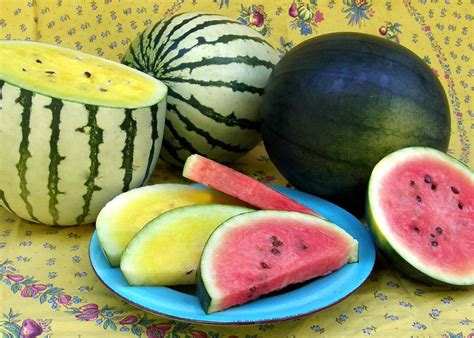 The right way to tell if a watermelon is ripe. How You Can Tell If a Watermelon Is Ripe | HGTV