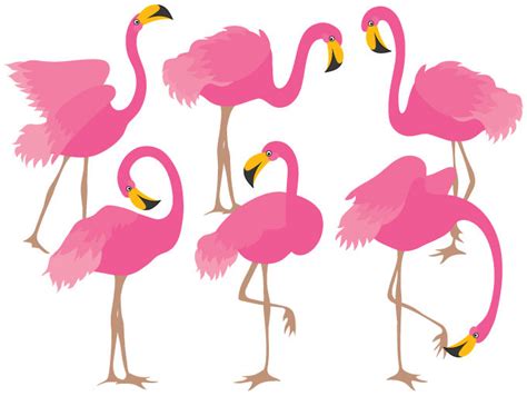 Flamingo Clipart Free Free Download On Clipartmag