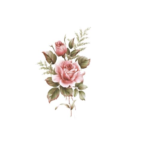 Aesthetic Flower Png Images Transparent Background Png Play