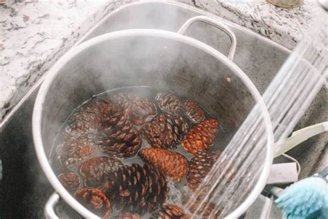 Then, test the dye with a little piece. How to Dye with Pine Cones | Practical and Pretty