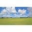 Apes Hill Polo Field Lot 26 • Land Barbados Real Estate & Property 