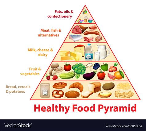 Healthy Food Pyramid Chart Royalty Free Vector Image