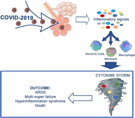 Frontiers Cytokine Storm In Covid 19 “when You Come Out Of The Storm