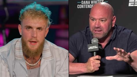 Jake Paul Offers To Retire From Boxing With Ufc Challenge To Dana White