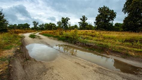 Dirt Road After Rain On A Background Of Meadows And Trees Panoramic