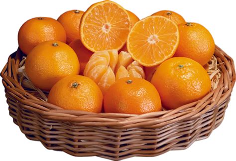 Corbeille De Fruits Oranges Png Tube Naranjas Png