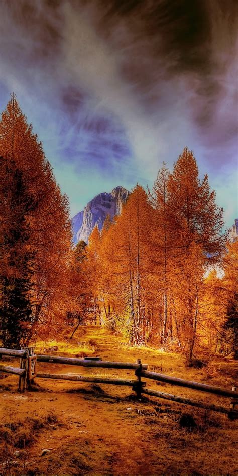 1080x2160 Alpine Mountains Autumn Forest Trees One Plus 5thonor 7x